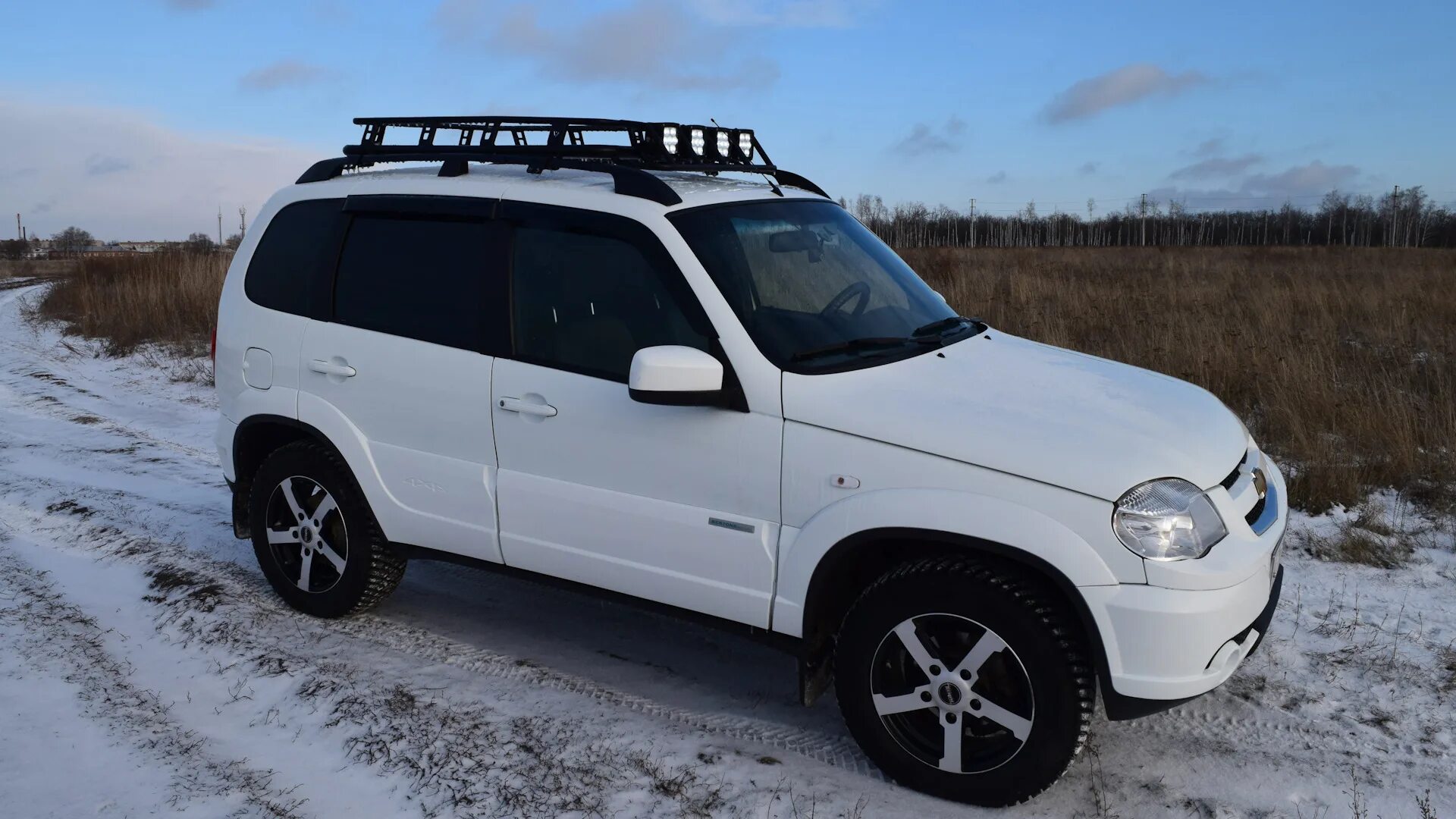 Дром алтайский край шевроле. Нива Шевроле 2013. Шевроле Нива 2013 года. Chevrolet Niva 2013 года. Niva Chevrolet drive2 Новокузнецк.