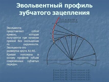 Построение эвольвенты зубчатого