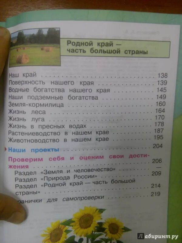 Родной край часть большой стране. Родной край часть большой страны 4 класс. Окружающий мир 4 класс содержание. Мой родной край учебник.