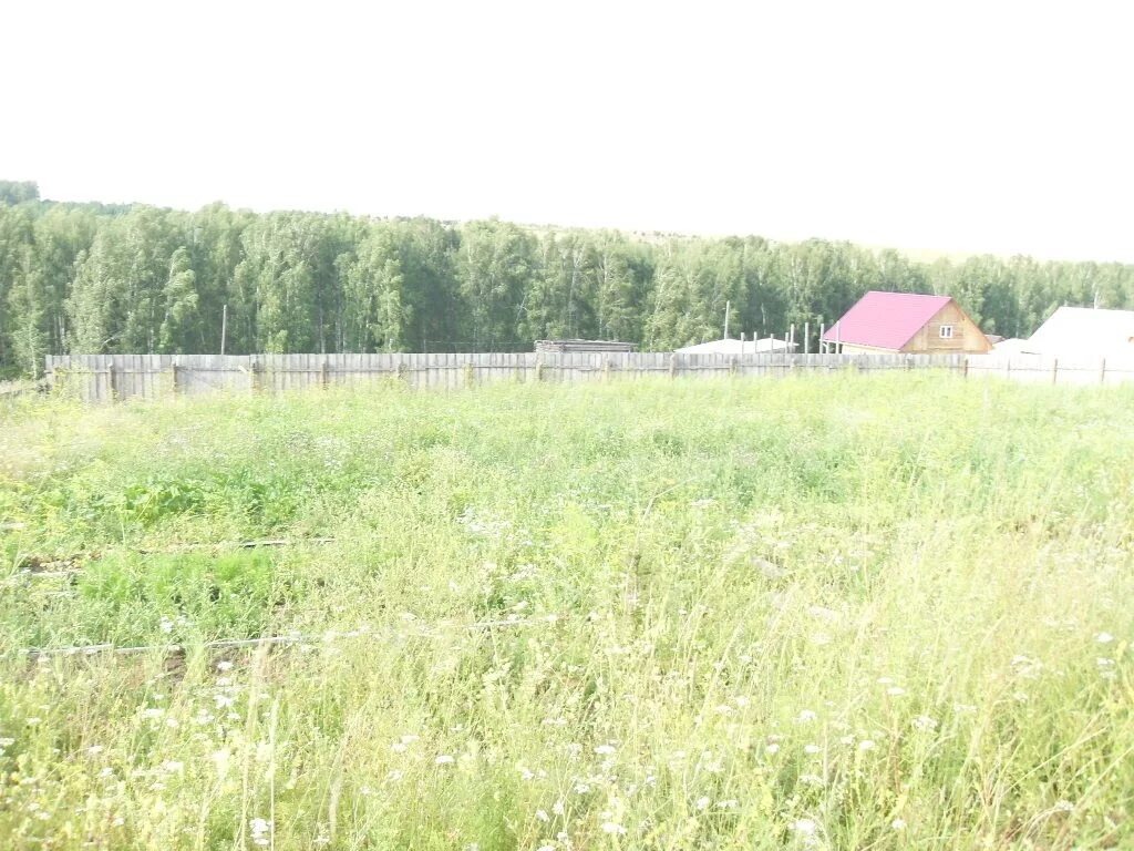 22 сотки в метрах участка. участок 22 сотки. деревня вяземское можайского района. сельское хозяйство можайского района московской области. капп.