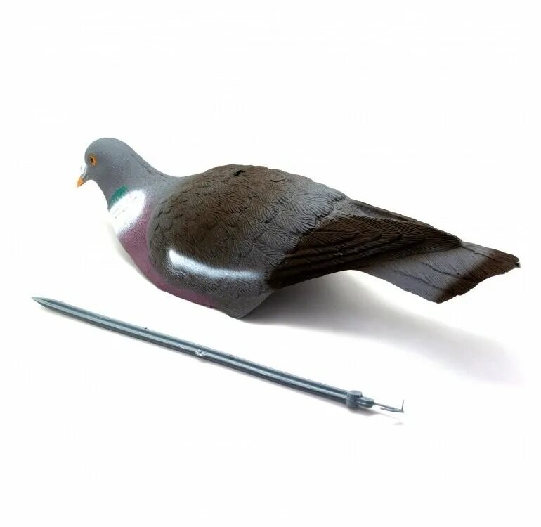Муляж голубя. Чучела-скорлупки голубей north way. Голубь скорлупка на колышке north way. Чучела вяхиря пенополистирол. Чучела вяхиря спорт пласт скорлупки.