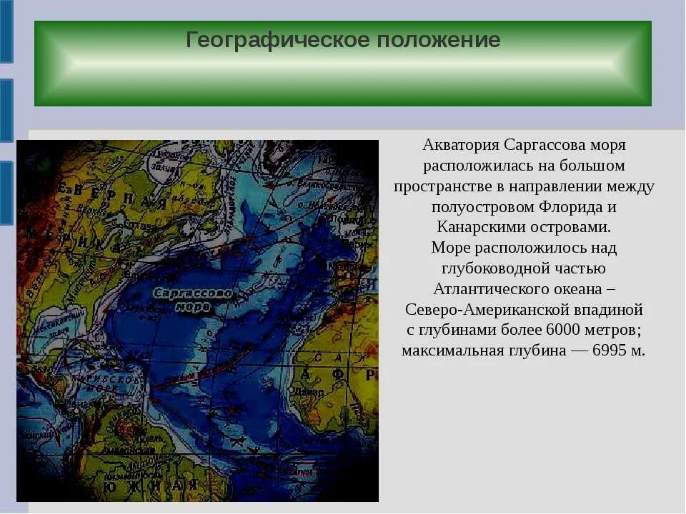 Саргассово какой океан. Атлантический океан Саргассово море. Саргассово море глубина максимальная. Саргассово море на карте. Где находится Саргассово море.