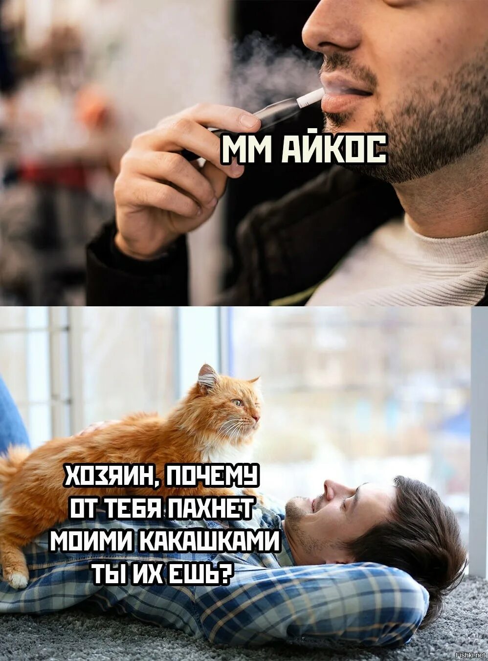 Айкос Мем. Смешные факты. Популярные мемы с котами 2022. Мемы 2022. Говной воняет