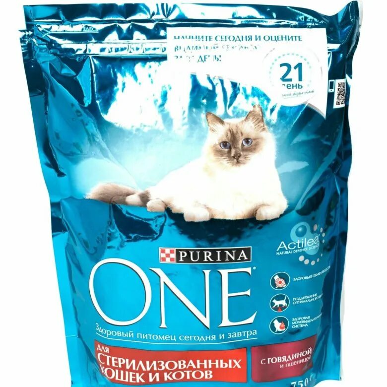 Влажные корма для котят. Корм для кошек в магазине. Озон интернет магазин корм для кошек. Озон интернет магазин корм для кошек. Гурмет голд соус.