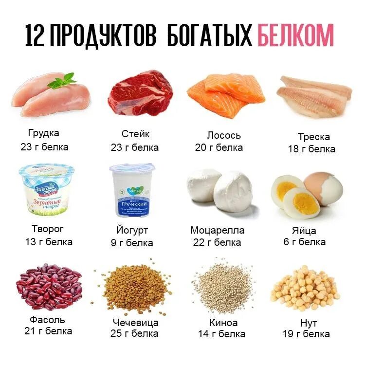 Белковые продукты. Чистый белок. Белок в продуктах. Продукты богатые белками. Самые богатые белком