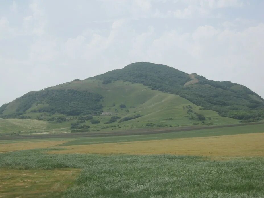 Гора бык минеральные воды. Змейка. Гора бык в пятигорье -история. Бештау. Гора бык.