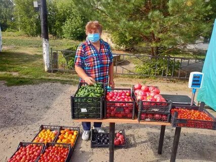 Погода дубовое чаплыгинского