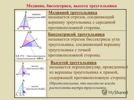 Сколько биссектрис имеет угол