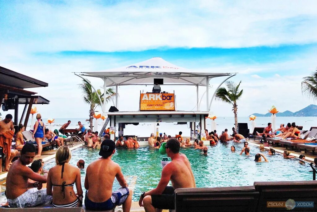 Coco bar самуи. бар monkey самуи. рестораны в тайланде самуи. бары самуи. рыбацкая деревня самуи.