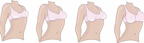 Pictures of the female breast.