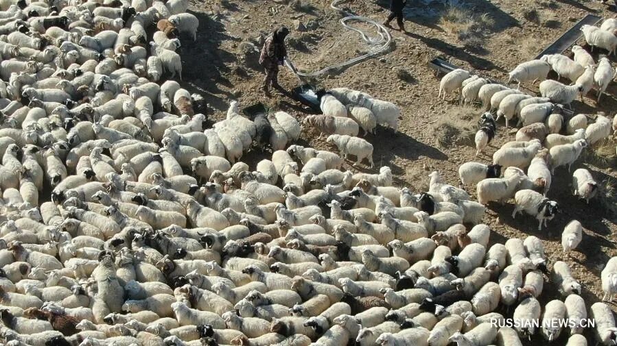 Природа: засуха и зелень. Засуха в россии. Спас от засухи. Natural disasters засуха. Соленое озеро астраханская область тинаки.