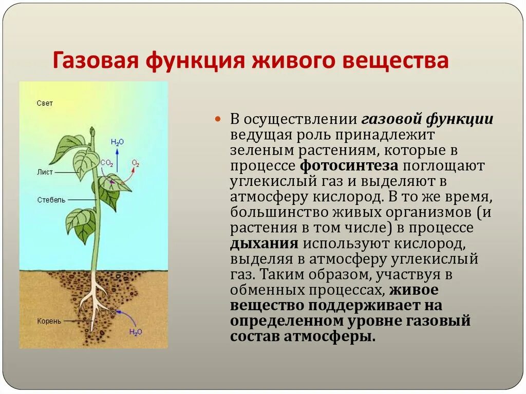 Какую функцию выполняет земля