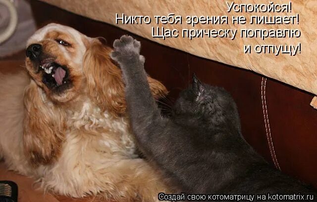 Он где то шляется с другой песня