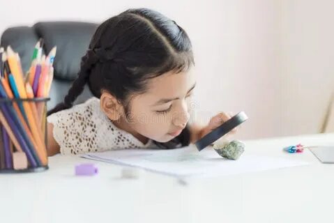 Education select