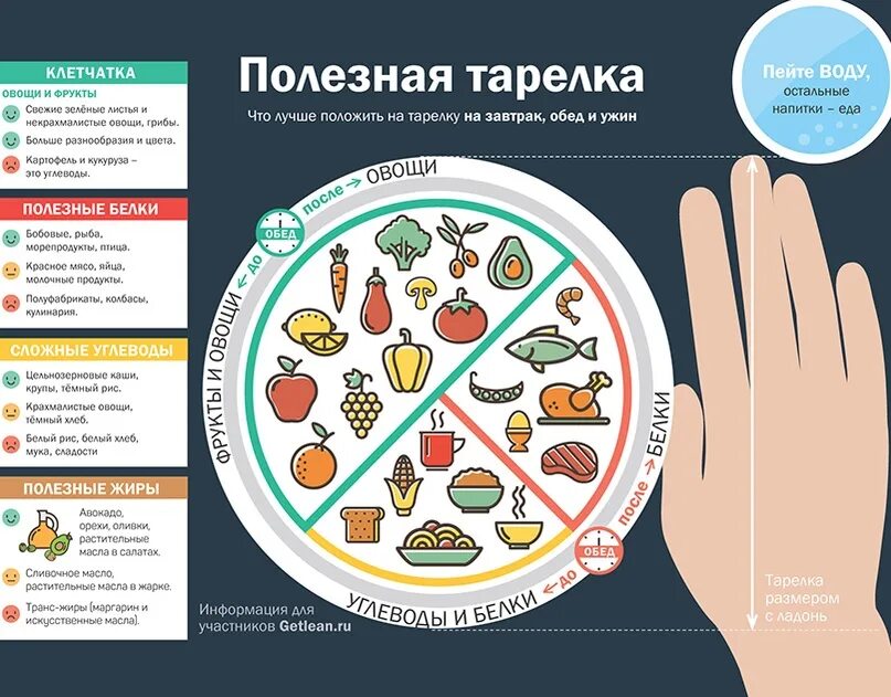 Что можно есть руками. Тарелка здорового питания. Тарелка по правильному питанию. Здоровое питание инфографика. Правильное питание инфографика.