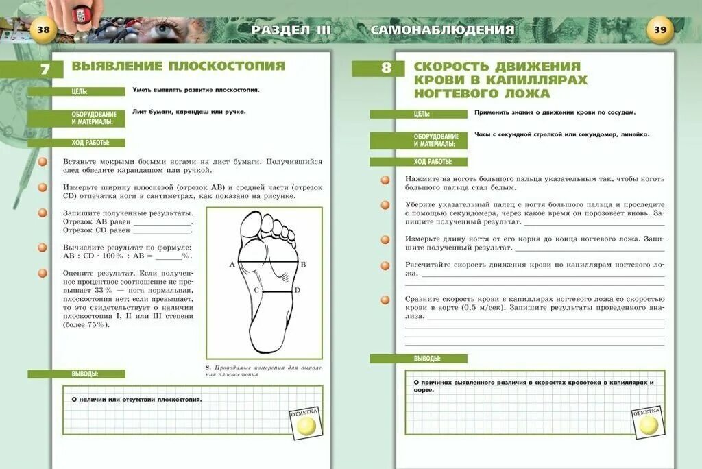 конспекты по биологии 8 класс драгомилов маш. биология 8 практические и лабораторные работы. лабораторная работа по биологии 8 класс. выявления плоскостопия биология 8 класс. биология 8 класс тетрадь практикум сухорукова.