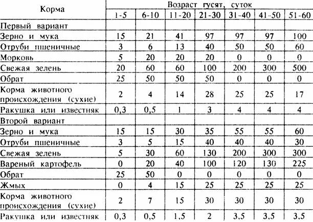 1 месяц 15 суток. Таблица кормления гусей по возрасту. Таблица кормления гусят с первых дней. Рацион питания гусят с первых дней. Рацион кормления гусей в домашних условиях таблица.