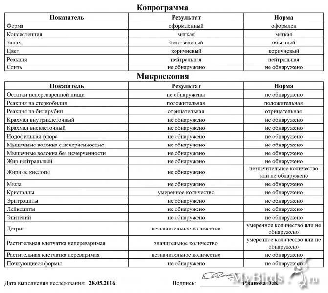 Анализ кала у мужчин. Нормы копрограммы кала. Копрологическое исследование кала норма. Нормы копрограммы у грудничка. Копрограмма в норме микроскопия.