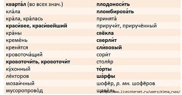 ударение на 1 слог. в каком слове ударение падает на 2 слог. кралась ударение в слове на какой слог. ударение в слове каталог. правильное ударение в словах.