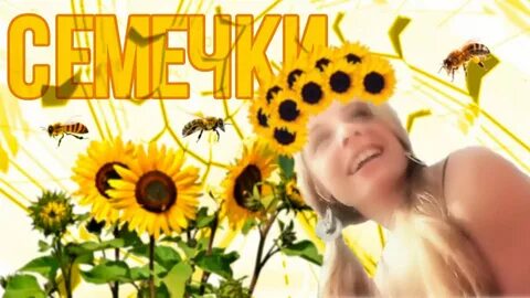 Песня семечки минус