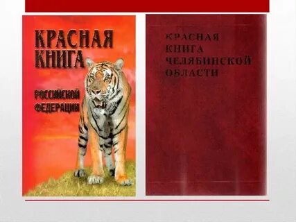 Книга про челябинскую область