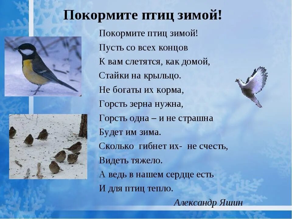 Стихи для детей про птиц весной. Стихи про птиц. Стихотворение про зимующих птиц. Стихи про зимних птиц. Стих про зимующую птичку.