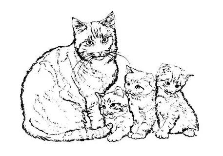 Нарисовать 5 котят