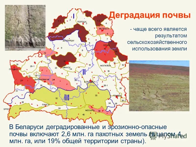 какая земля в беларуси