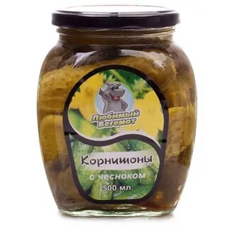 Любимый бегемот