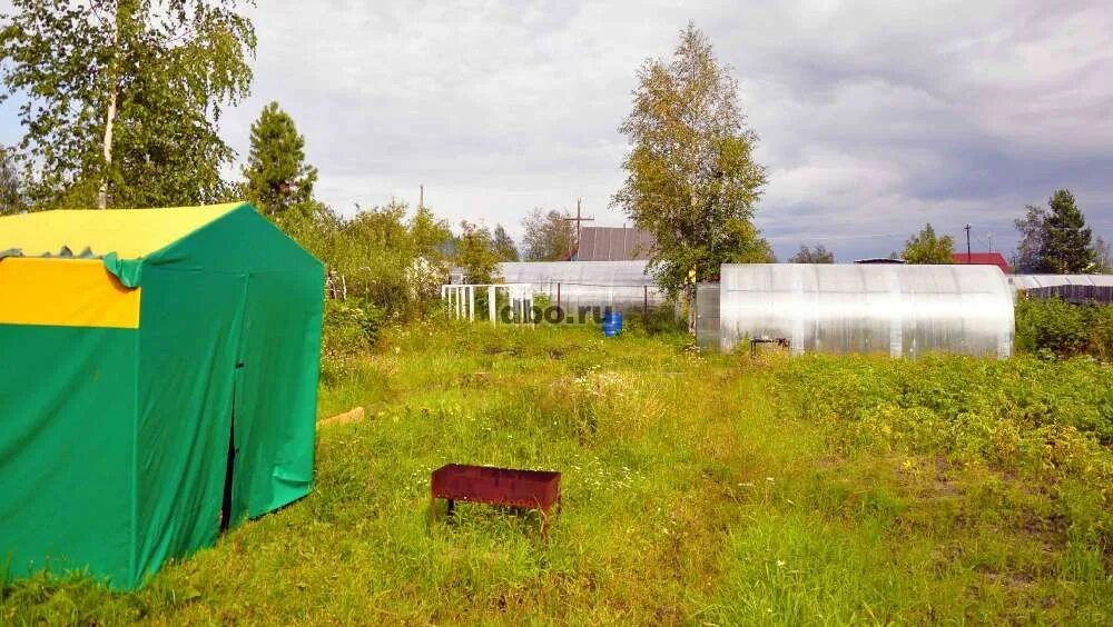 Мировые судьи сургут. Участок 6 нефтеюганского. Урай 3 й микрорайон 53 дом. Победит 2 сургут озеро. Нефтеюганск улица кедров.