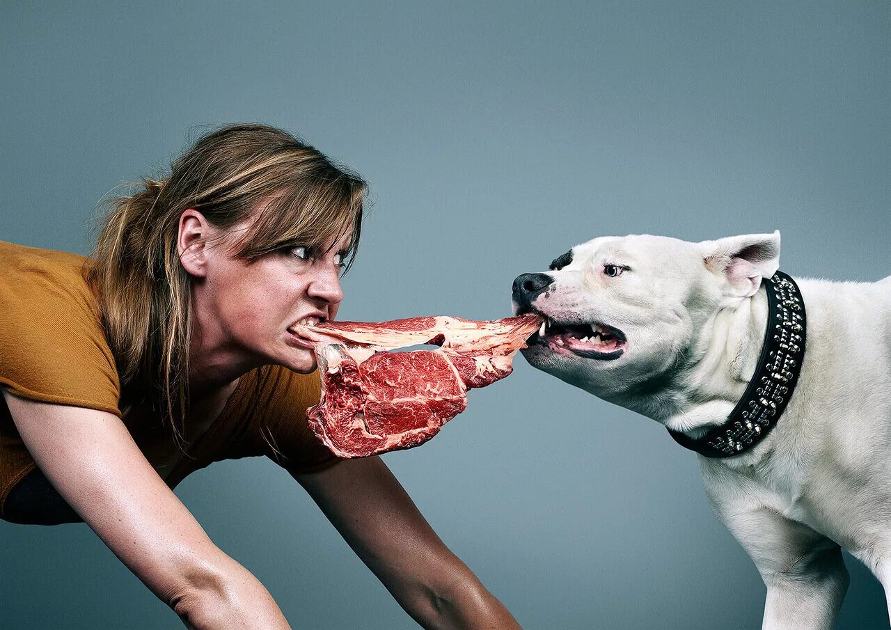 Полу голодный. Агрессивная реклама. Агрессия животных и людей. Агрессия в рекламе.