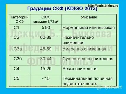 Скорость клубочковой фильтрации в почках