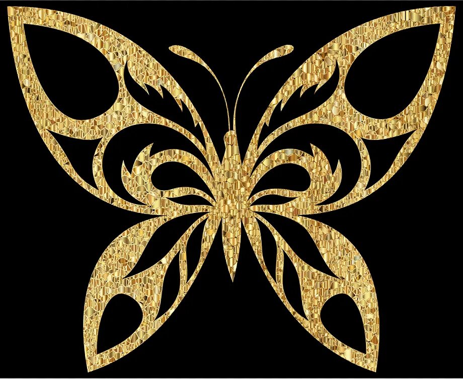 Золотая бабочка. Золотая симметрия. Золотые бабочки на прозрачном фоне. Золотая бабочка символ.