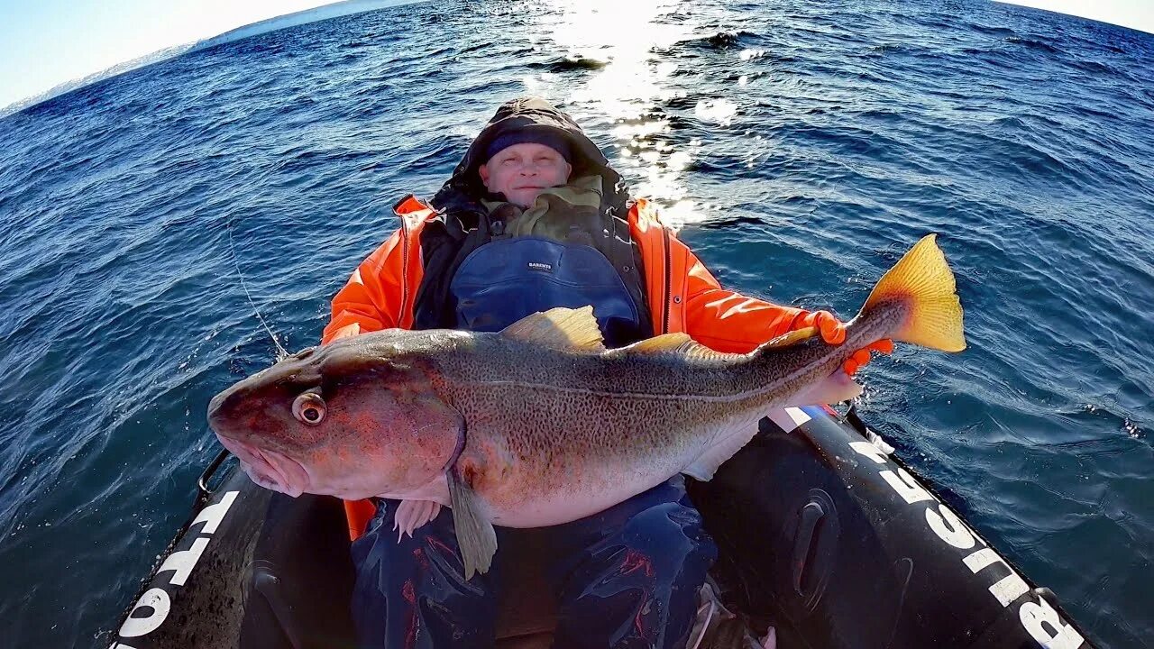 Всю жизнь Рыбач. Клев на море