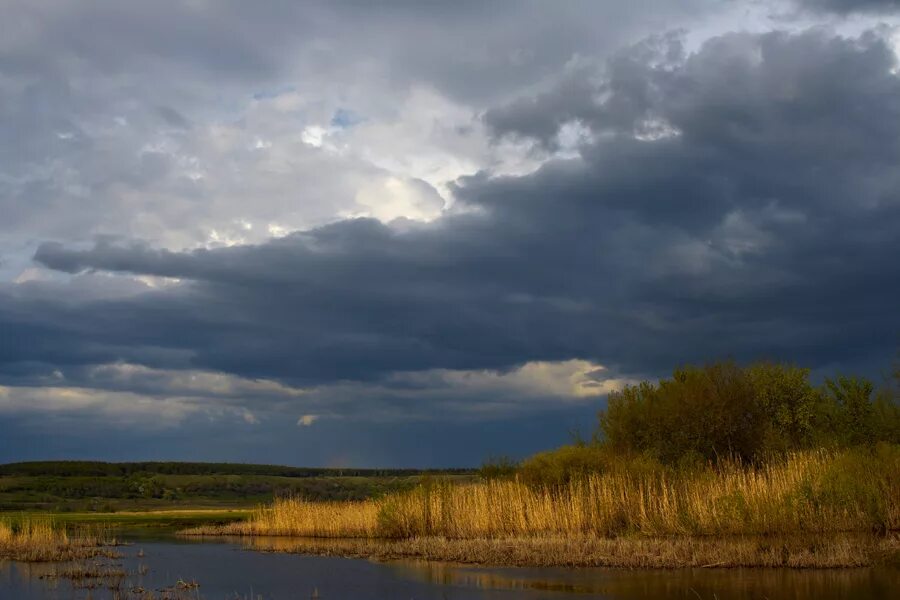 Перед дождем болит. Селиваново озеро новохопёрск. Новохоперск природа. Небо в Новохоперске. Новохоперск летний пейзаж.