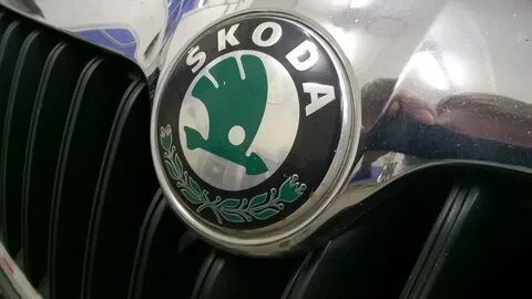 Чип skoda