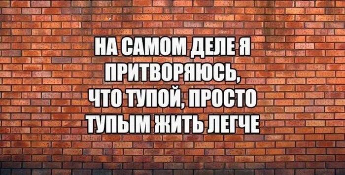 Тупым легче жить. Тупым жить проще. Легче притвориться тупым. Глупым жить легче.