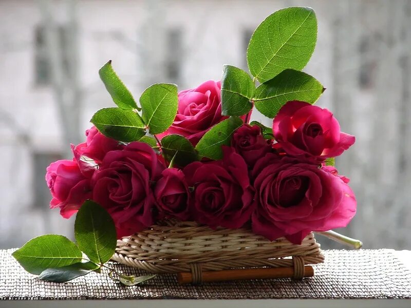 доброе утро цветы красивые. доброе утро вашей семье. открытки доброе утро. доброе утро пожелания красивые. с добрым утром.