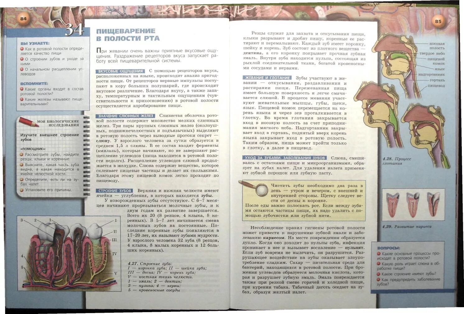 Биология 8 конц. Учебник по биологии 8. Учебник по биологии 8 класс. Биология. 8 Класс. Учебник. Биология 8 класс учебник Сухорукова.