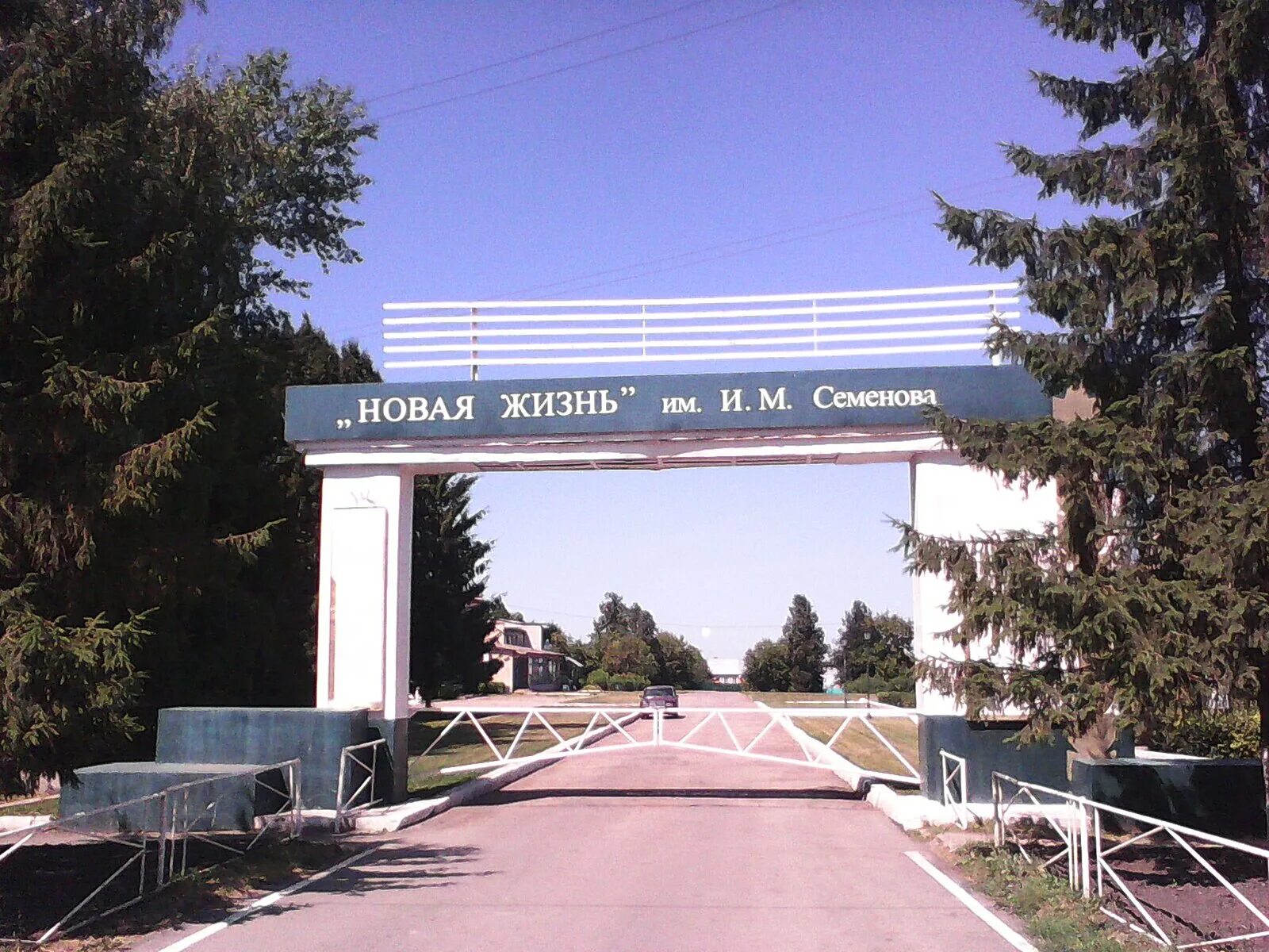 Жизнь щекино. Жизнь щекино. Щекино ночью лето. Щёкино тульская область. Щёкино улица ленина школа.