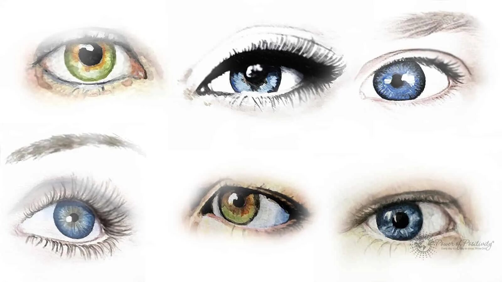 Разнообразие глаз. Формы глаз. Формы глаз человека. Типы глаз. Формы женских глаз.