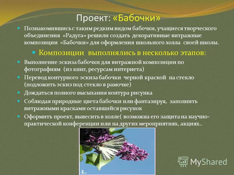 Творческий проект про бабочку