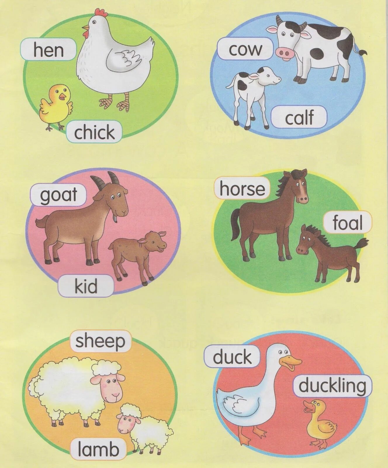 Sheep транскрипция и перевод на русский язык. Sheep транскрипция и перевод на русский язык