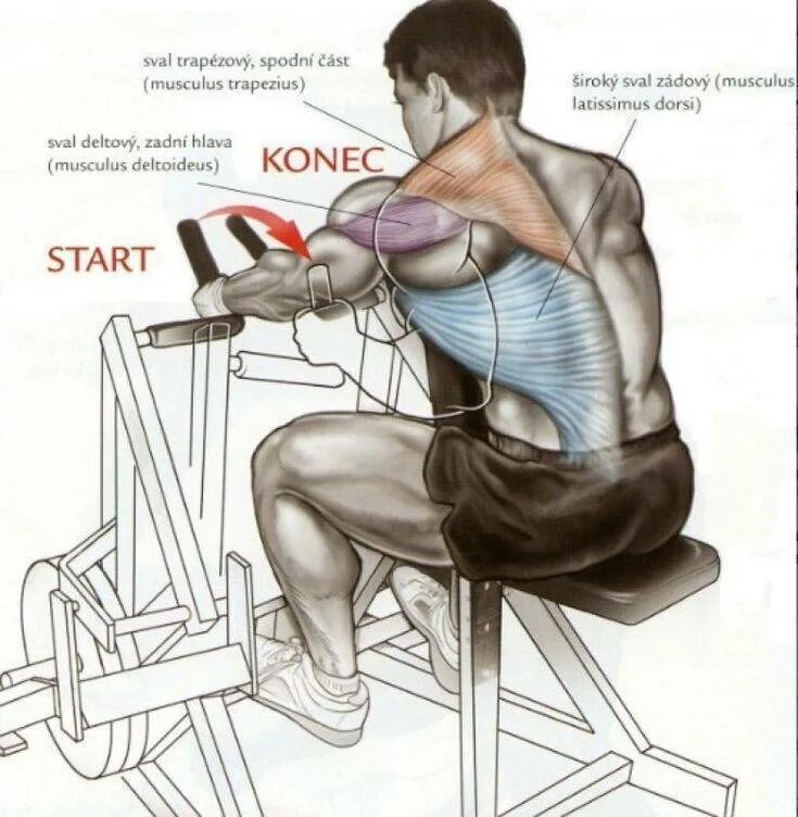 Упражнения на нижнюю спину. Горизонтальная тяга блока Хаммер. Упражнение рычажная тяга в тренажере. Горизонтальная тяга в тренажере Хаммер. Горизонтальная тяга рычажного тренажера мышцы.