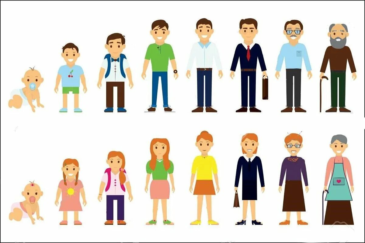 Иллюстраций с изображением людей разного пола и возраста. Взросление человека для детей. Люди разных возрастов. Этапы жизни взросления человека.