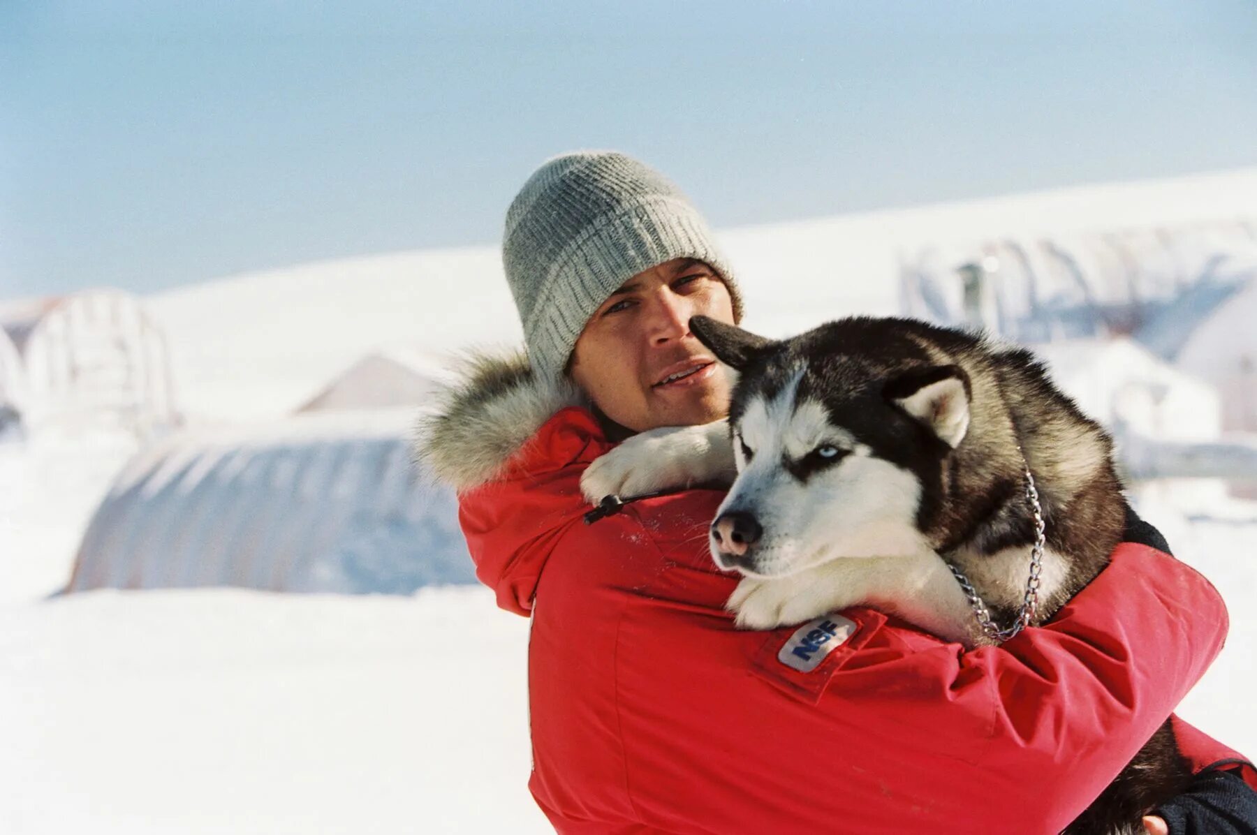 8 below. Белый плен - eight below (2006). пол уокер белый плен. пол уокер хаски белый плен.