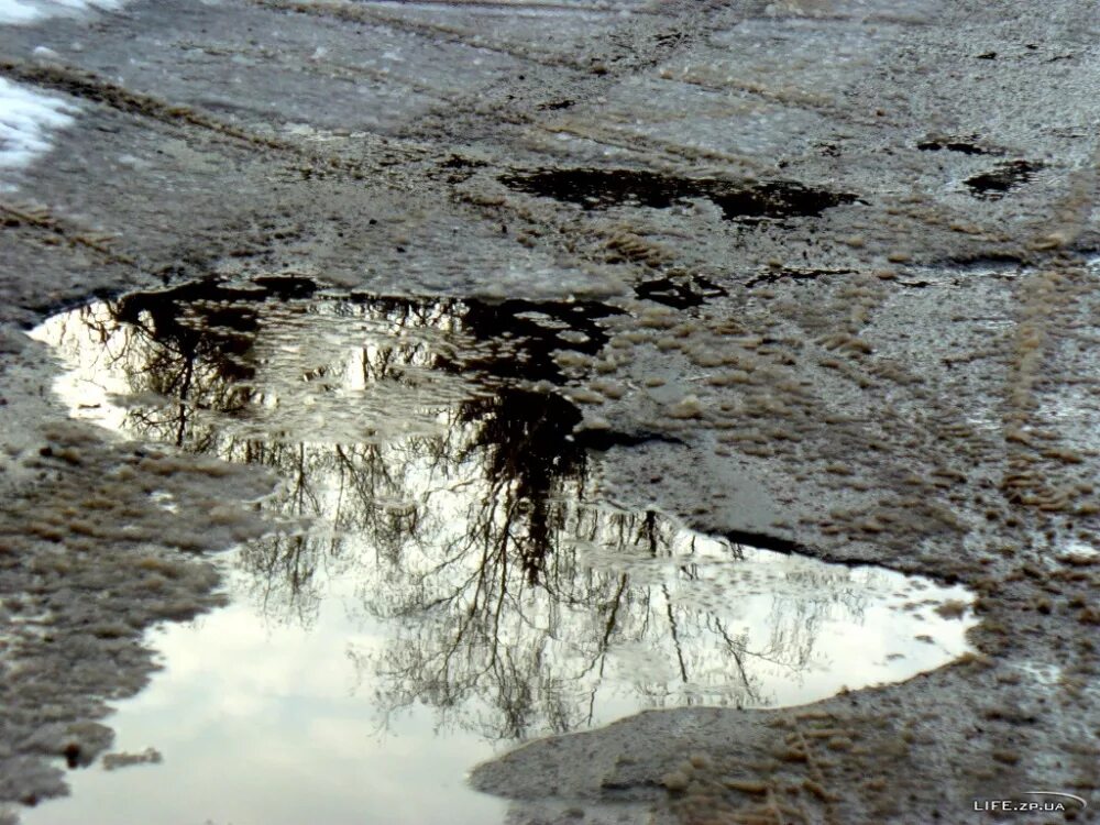 Грязь и лужи снег. Лужа зимой. Грязь лужа слякоть. Вода из грязной лужи