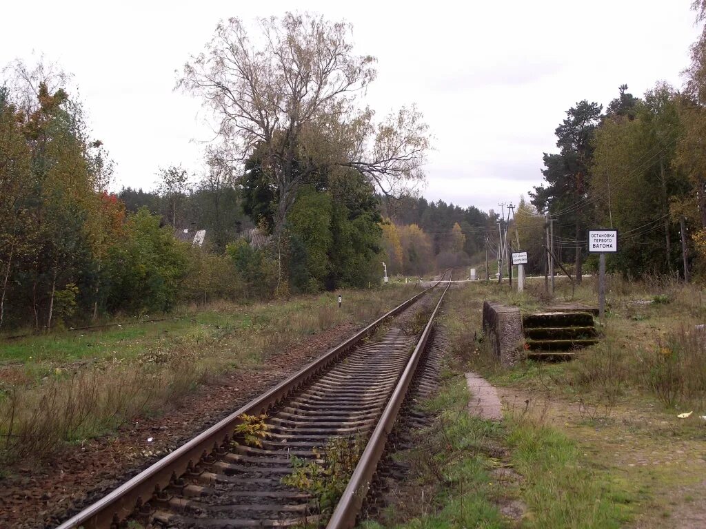 Поселок зайцево ленинградская область гатчинский. Деревня большая ящера. Кирилл лавров дача в вырице. Поселок зайцево ленинградская область гатчинский. Посёлок зайцево выборгский район ленинградской области.