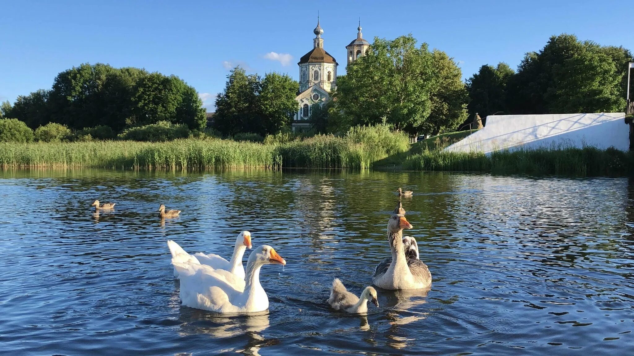 Озеро на речке гусь