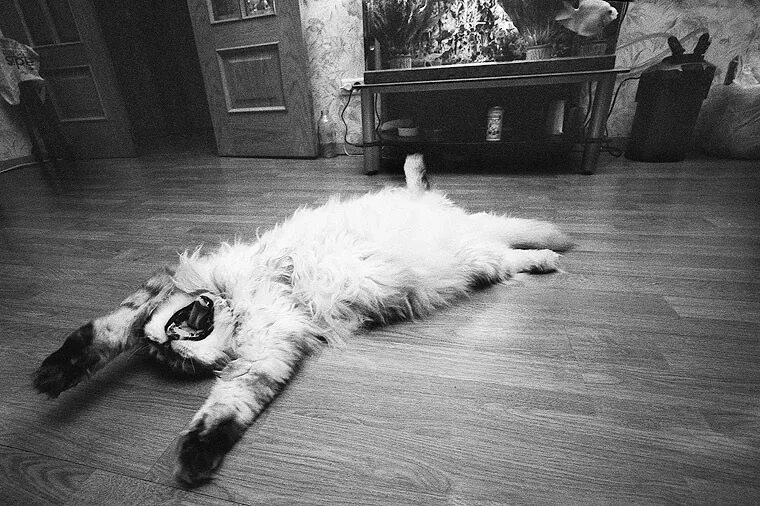 вдруг кусок